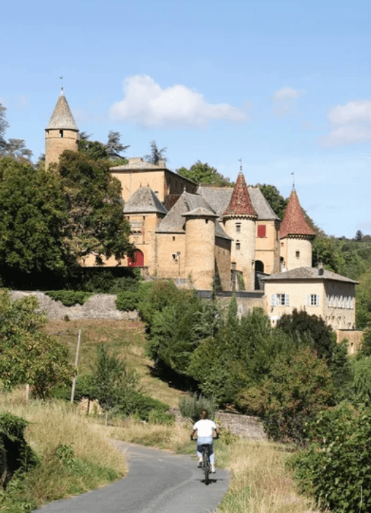 Toitures et tours du château de Lacenas