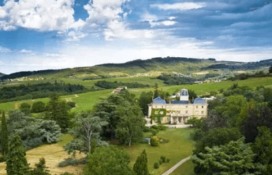 Vue lointaine sur une demeure seigneuriale au milieu des vignes