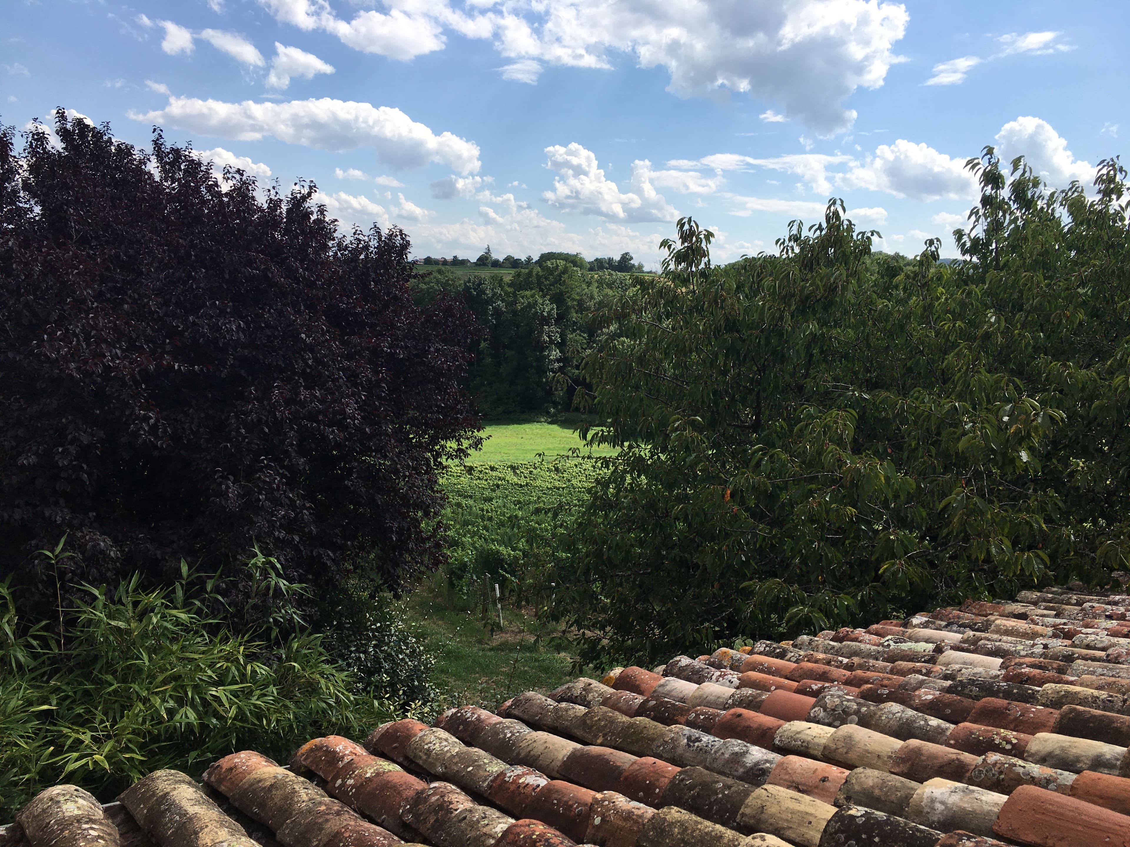 Chambre du Cottage des Pierres Dorées donnant directement sur le jardin arboré et calme