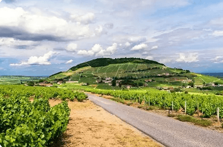 Routes du Beaujolais