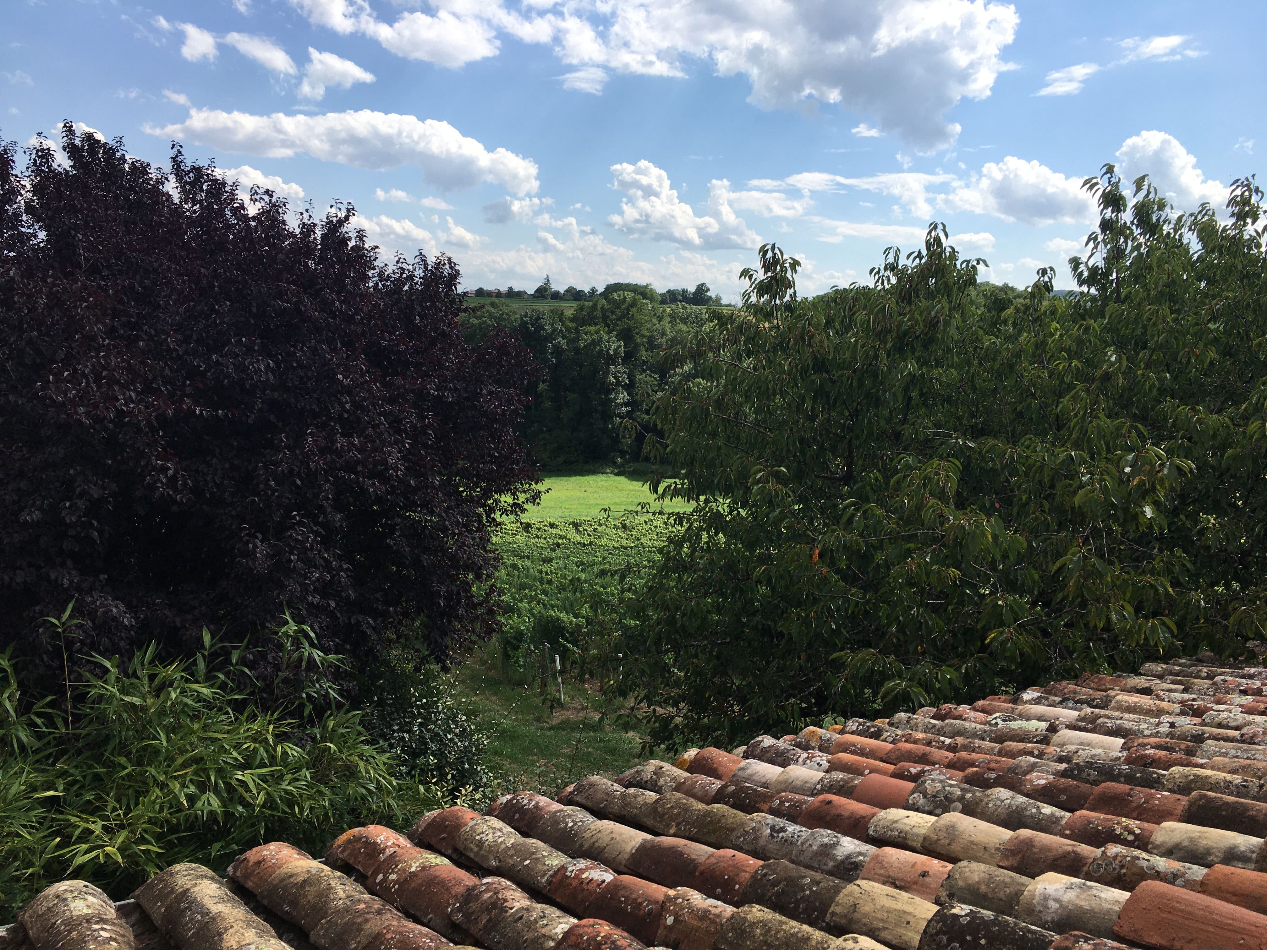Chambre du Cottage des Pierres Dorées donnant directement sur le jardin arboré et calme